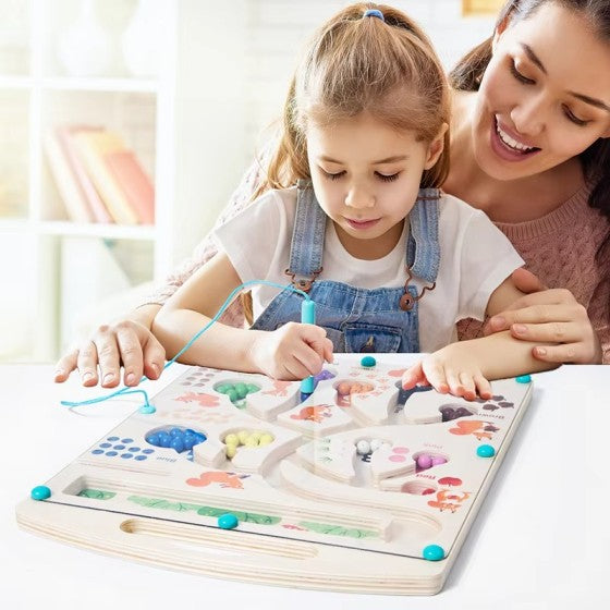 Montessori Wooden Magnetic Board - Colour & Number Sorting Game for Kids