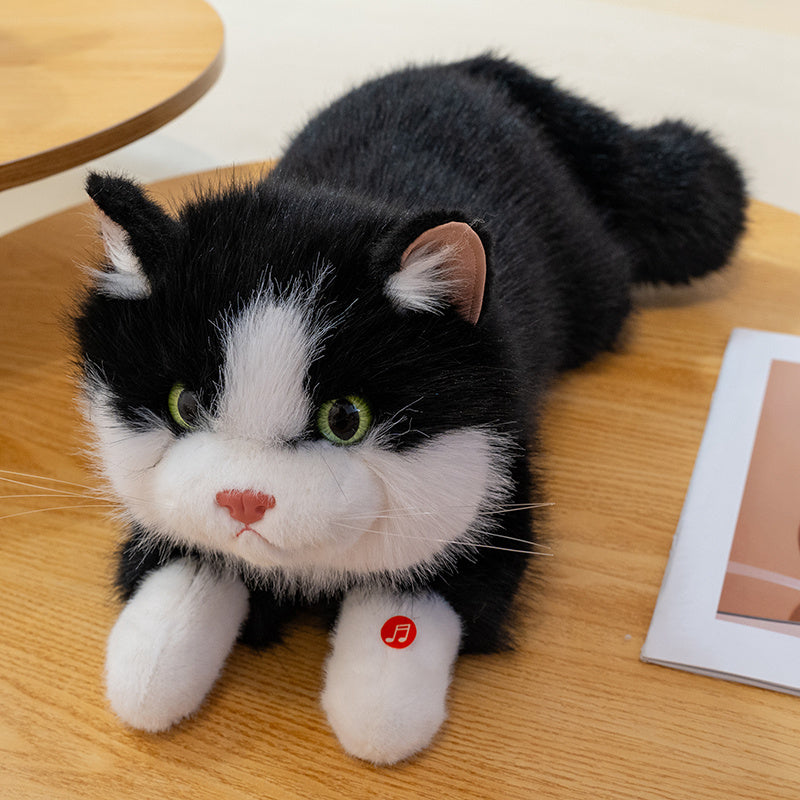 Cuddly Kitty Plushie with music