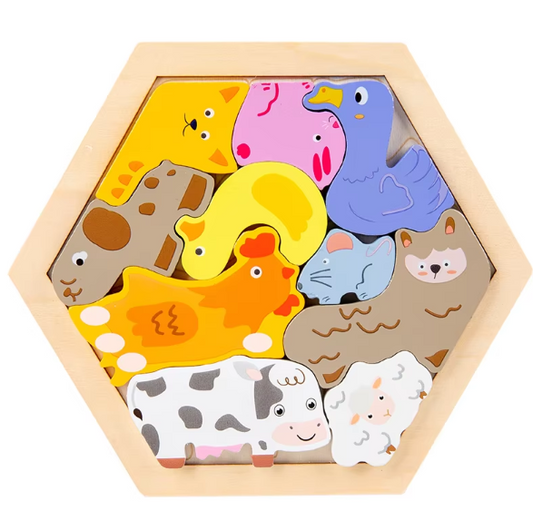 Early Education 3D Puzzle – Wooden Hexagon Shaped