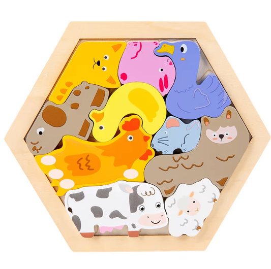 Early Education 3D Puzzle – Wooden Hexagon Shaped