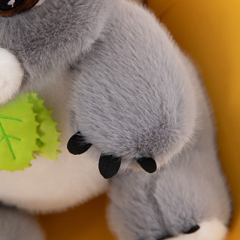 Koala Bear Stuff Toy - 30cm