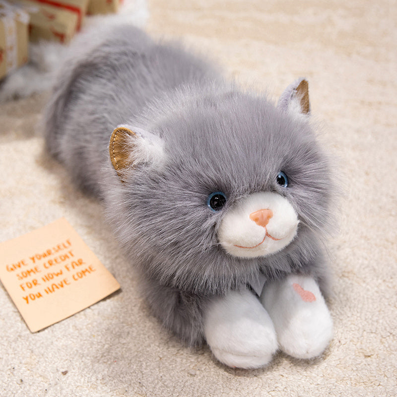 Cuddly Kitty Plushie with music
