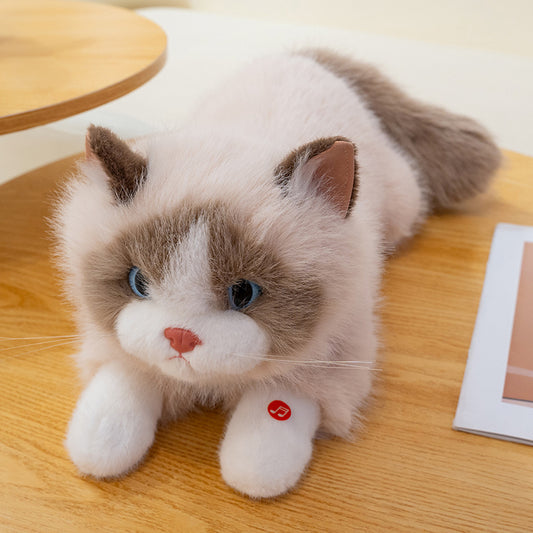 Cuddly Kitty Plushie with music