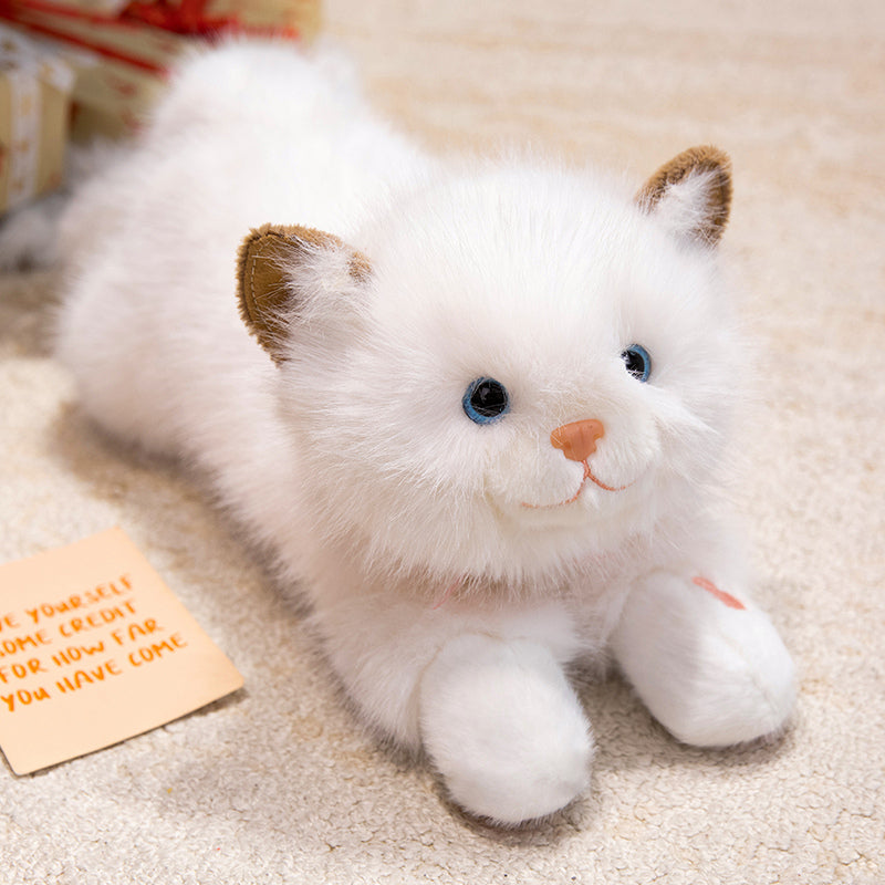 Cuddly Kitty Plushie with music