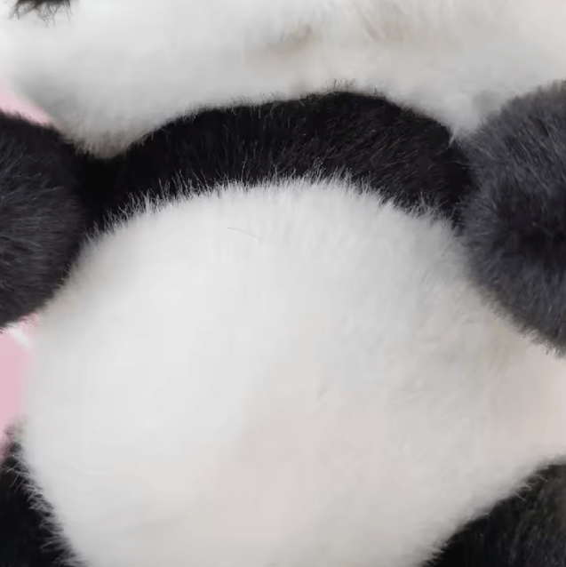 Little Panda Plush - 22cm